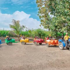 Barrel Train