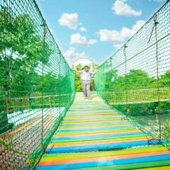 Suspension Bridge